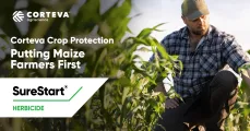 SureStart® | The Herbicide Solution for Weed Control in Maize | Corteva Agriscience™