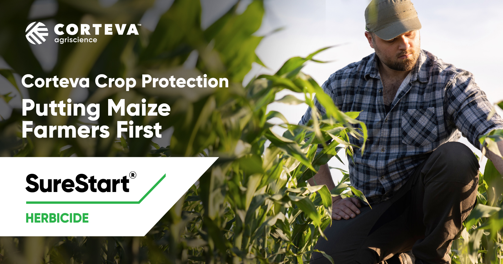 SureStart® | The Herbicide Solution for Weed Control in Maize | Corteva Agriscience™