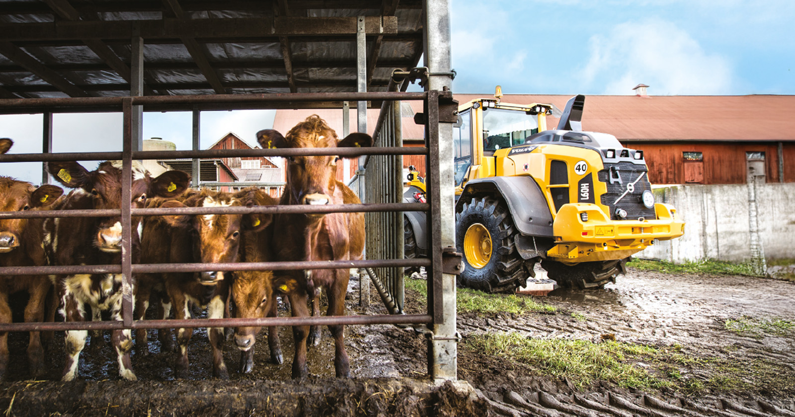 Volvo wheel loaders L60 | Babcock