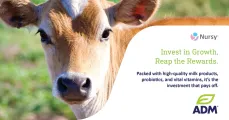 Nursy Pro® - Invest in Calf Growth with ADM Nutrition