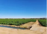 Irrigation farm for sale at Kakamas, Northern Cape | Agrisell