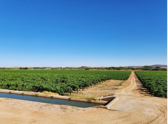 Irrigation farm for sale at Kakamas, Northern Cape | Agrisell