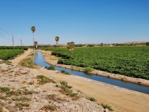 Irrigation farm for sale at Kakamas, Northern Cape | Agrisell