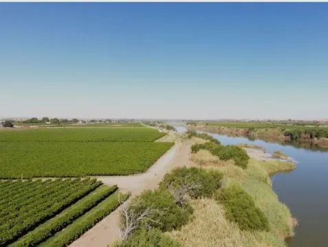 Irrigation farm for sale at Kakamas, Northern Cape | Agrisell