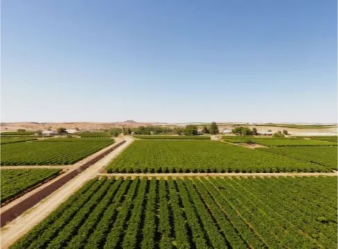 27Ha Farm On Auction in Kakamas Rural | Agrisell