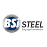 BSI Steel