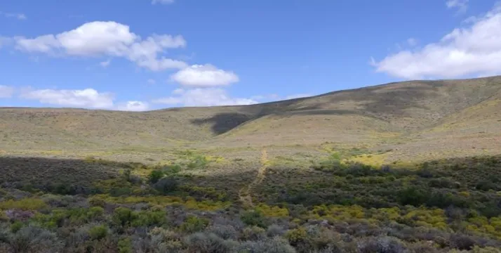 SUTHERLAND: Exceptional natural views. Pristine farm on Auction | Agrisell