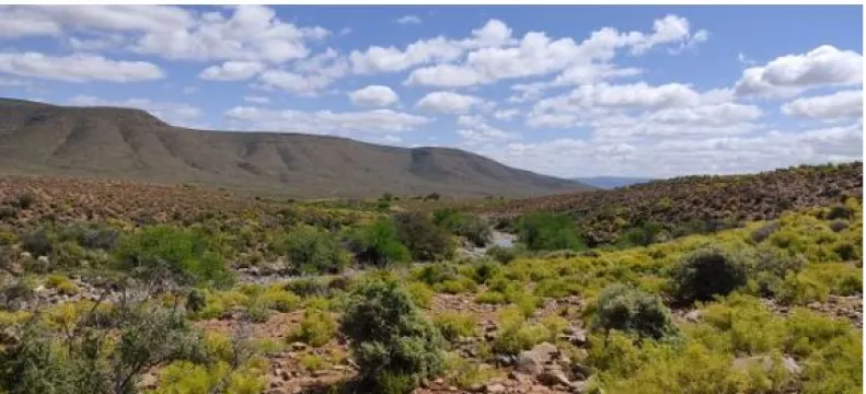 SUTHERLAND: Exceptional natural views. Pristine farm on Auction | Agrisell