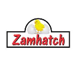 Zamhatch