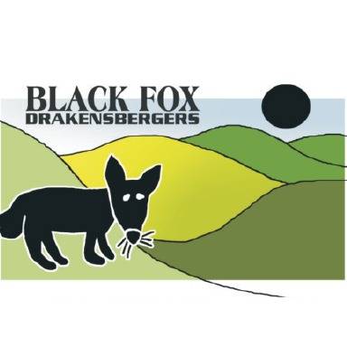 Black Fox Drakensbergers