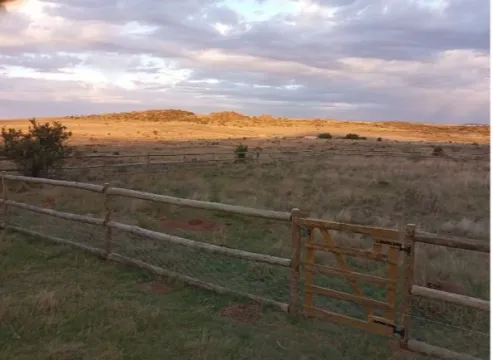 482Ha Farm On Auction in Burgersdorp Rural | Agrisell