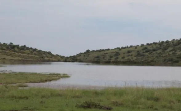 482Ha Farm On Auction in Burgersdorp Rural | Agrisell