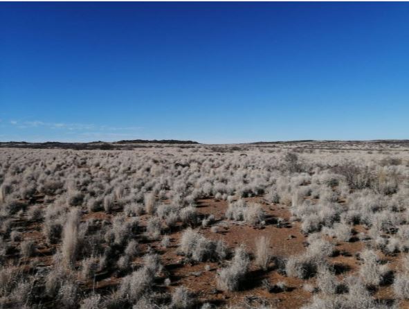 5,544 Ha Farm For Sale in Brandvlei | Agrisell