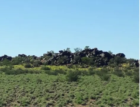 5,544 Ha Farm For Sale in Brandvlei | Agrisell