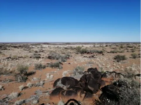 5,544 Ha Farm For Sale in Brandvlei | Agrisell