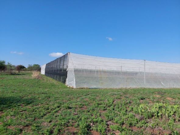 10Ha Farm On Auction in Groblersdal Rural | Agrisell