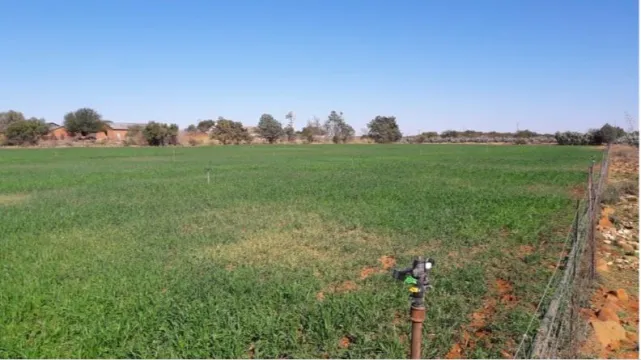 1,314Ha Farm On Auction in Griekwastad Rural | Agrisell