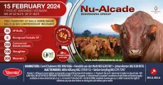 Nu-Alcade Bonsmara Group 36th Production auction | 15 February 2024 | 11:00 | Warmbad Veemark