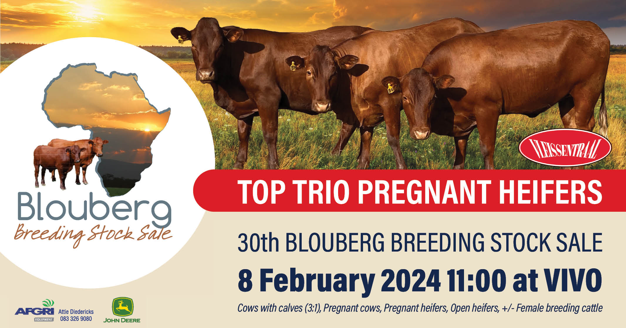 30th Blouberg Breeding stock sale | 8 February 2024 | Vivo