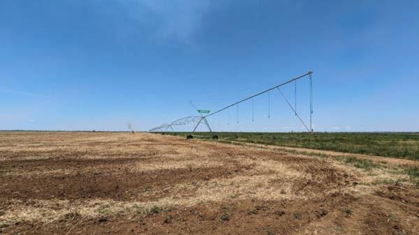 870 hectare crop farm for sale in Makeni (Zambia) | PAM Golding Zambia