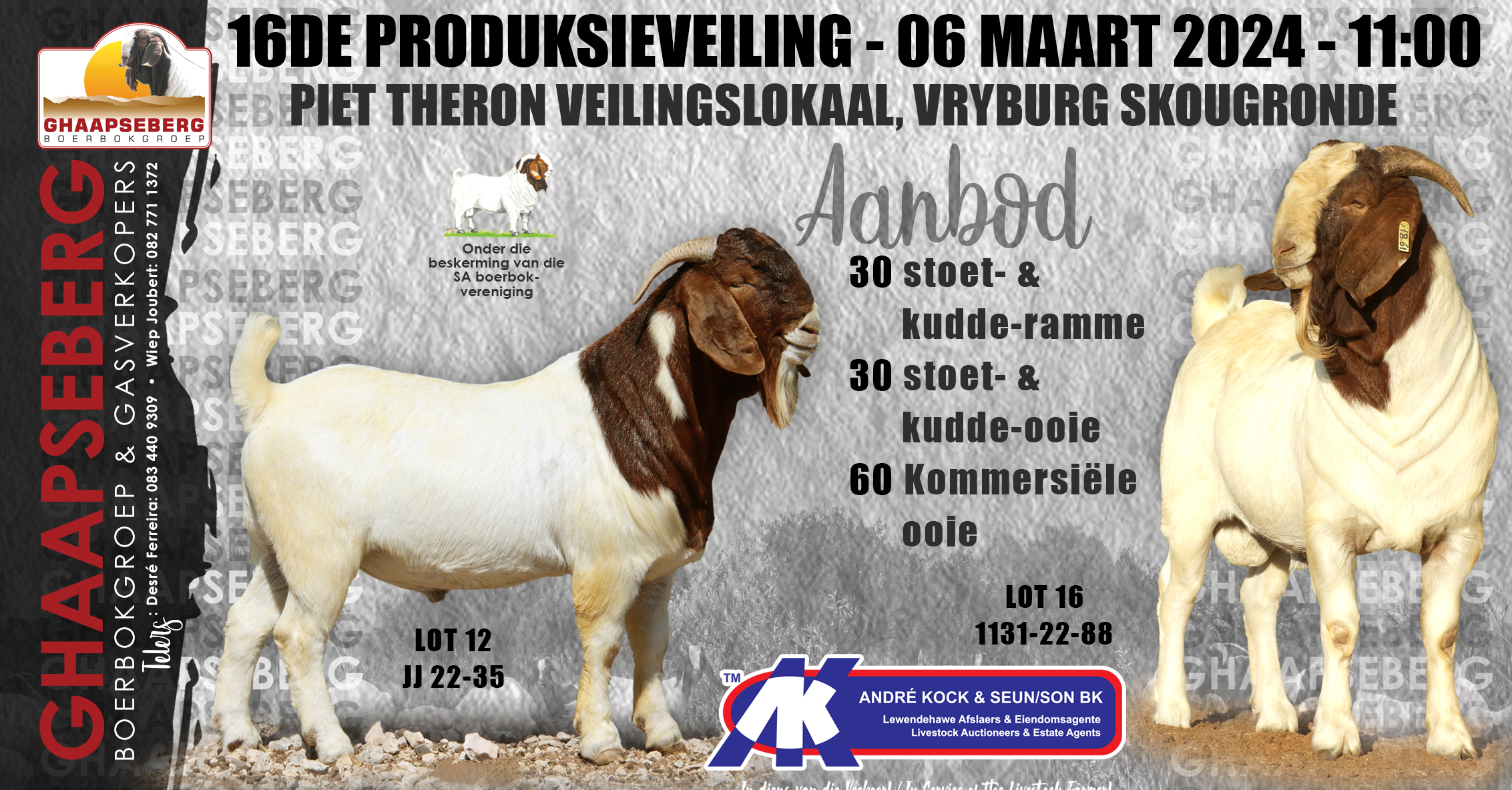 Ghaapseberg Boerbokgroep | 15de Produksieveiling | 6 Maart 2024