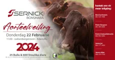 Sernick Bonsmara Aanteelveiling | 22 Februarie 2024 | 11:00 | Liebenbergstroom – Edenvale