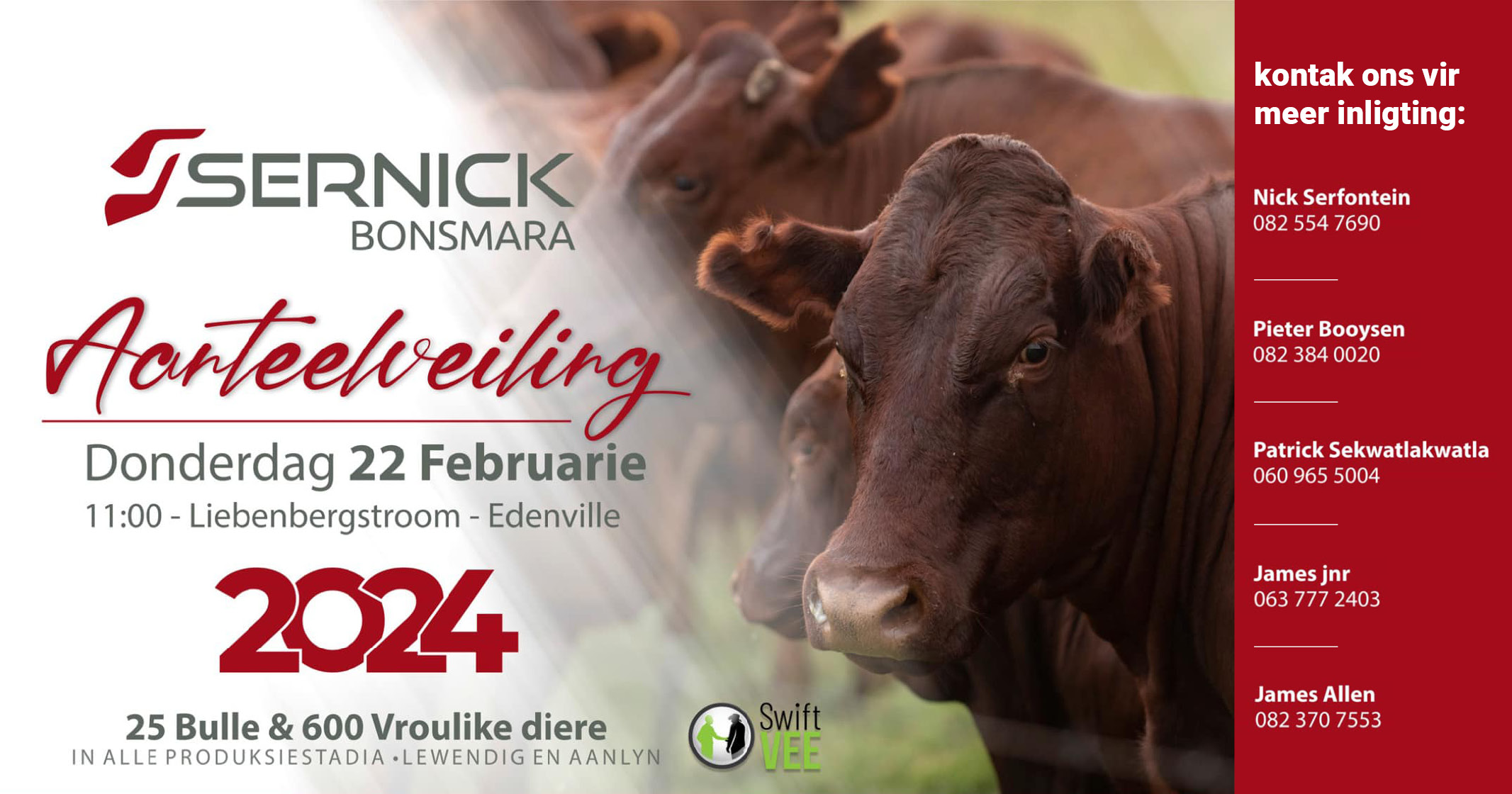 Sernick Bonsmara Aanteelveiling | 22 Februarie 2024 | 11:00 | Liebenbergstroom – Edenvale