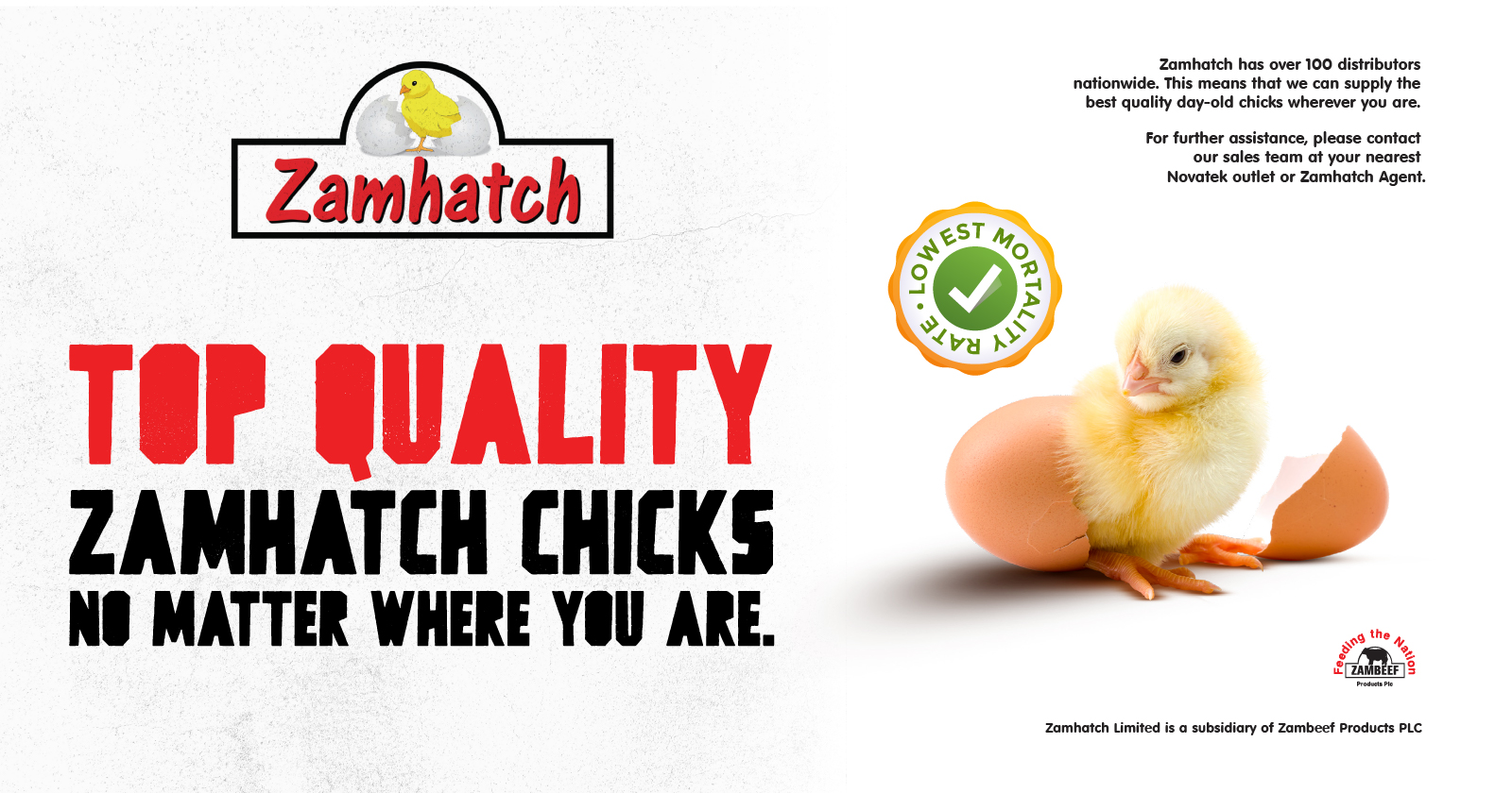 Top quality Zamhatch chicks no matter where you are | Zamhatch