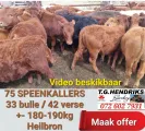 75 Speenkallers | T.G Hendriks boerdery