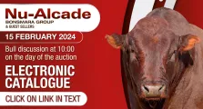 Nu-Alcade Bonsmara Group 36th Production auction | 15 February 2024 | Electronic Catalogue