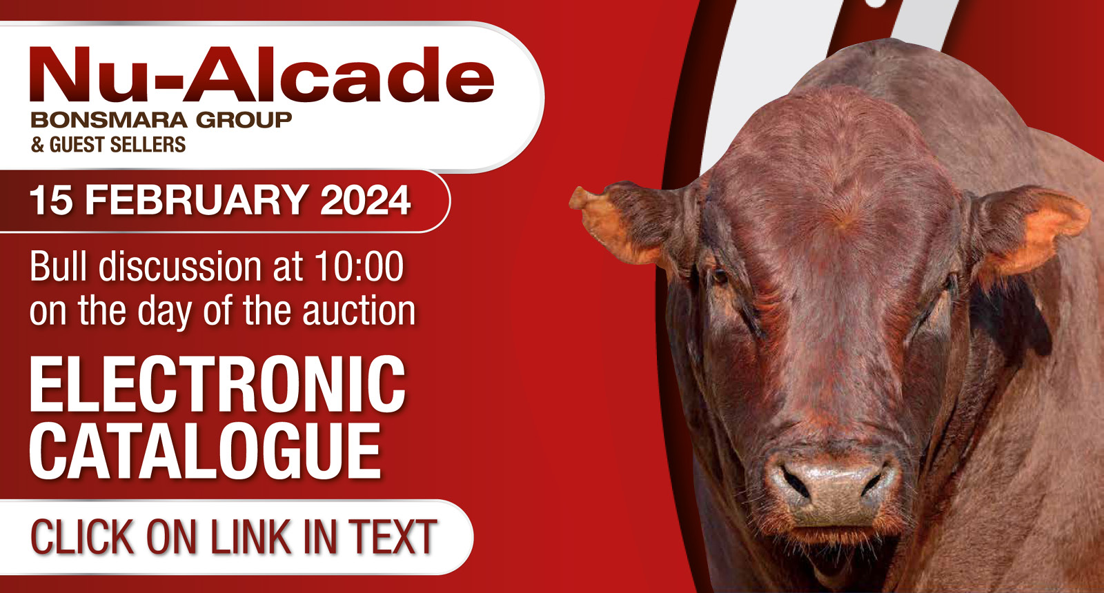 Nu-Alcade Bonsmara Group 36th Production auction | 15 February 2024 | Electronic Catalogue